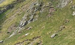 Featured image of post The forgotten tty_BUS_wanderer